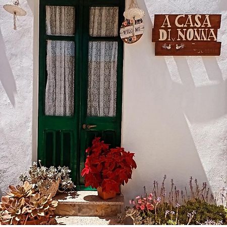 플루미니마조레 A Casa Di Nonna Iun Q2951 빌라 외부 사진